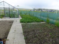 Moestuin