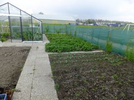 Moestuin